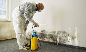 Best Mold Removal for HVAC Installations  in Ukiah, CA